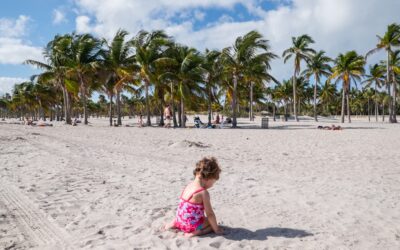 12 días de viaje por Florida con niños por Navidad. Plan de viaje, presupuesto y consejos para ahorrar
