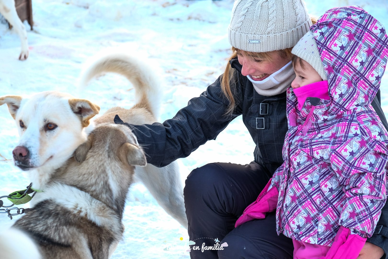 trineo de perros en Tromso