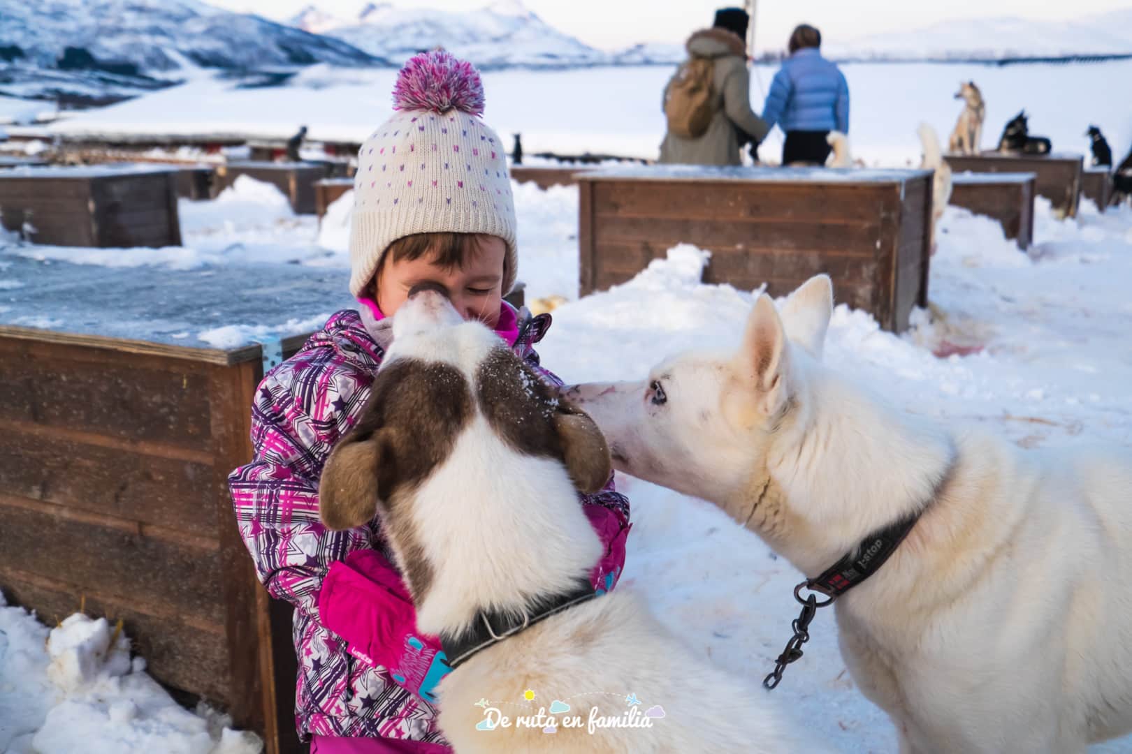 trineo de perros en Tromso