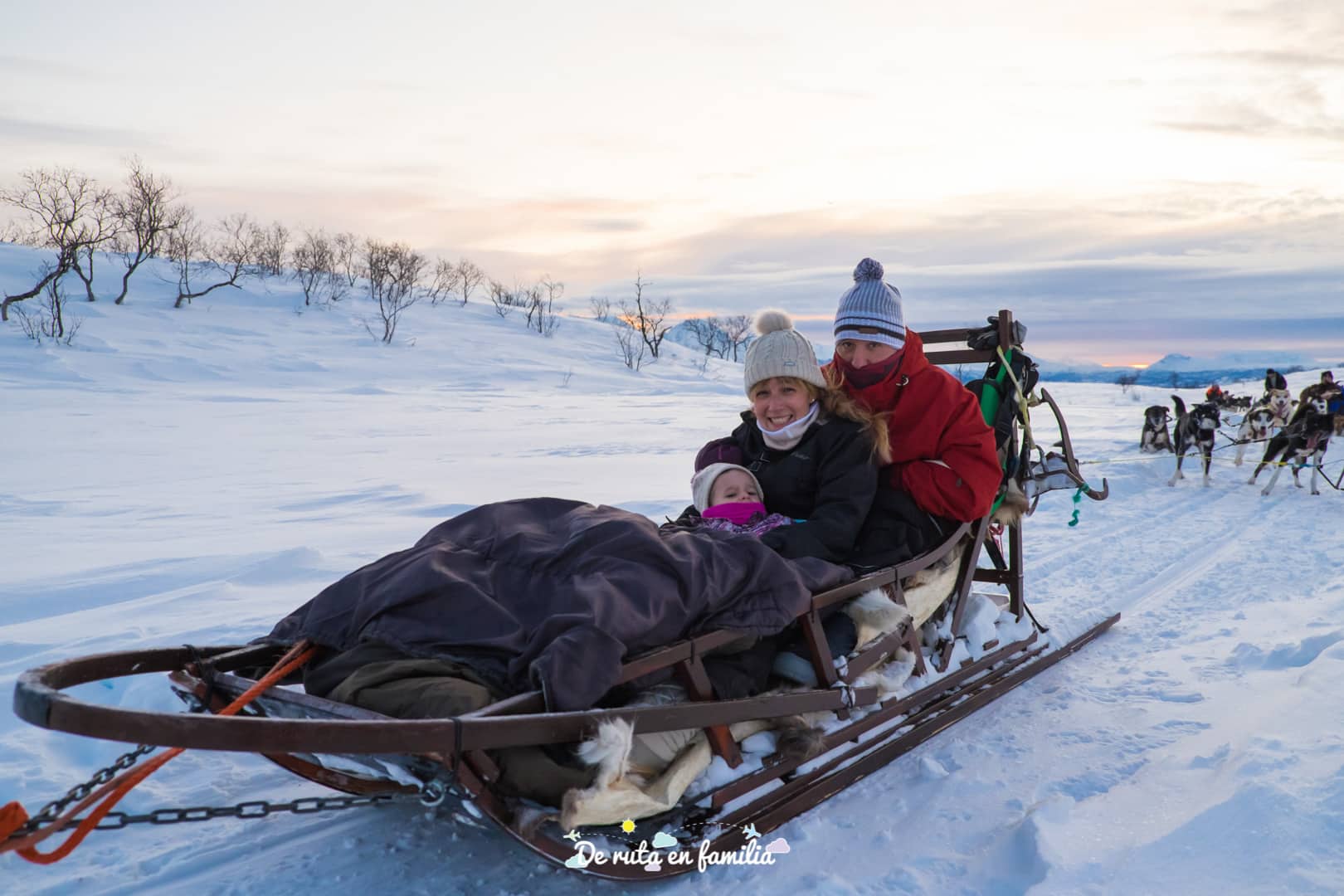 trineo de perros en Tromso