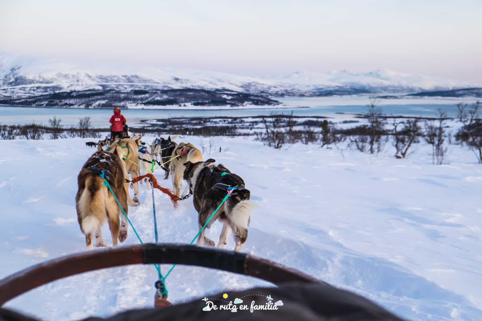 trineo de perros en Tromso