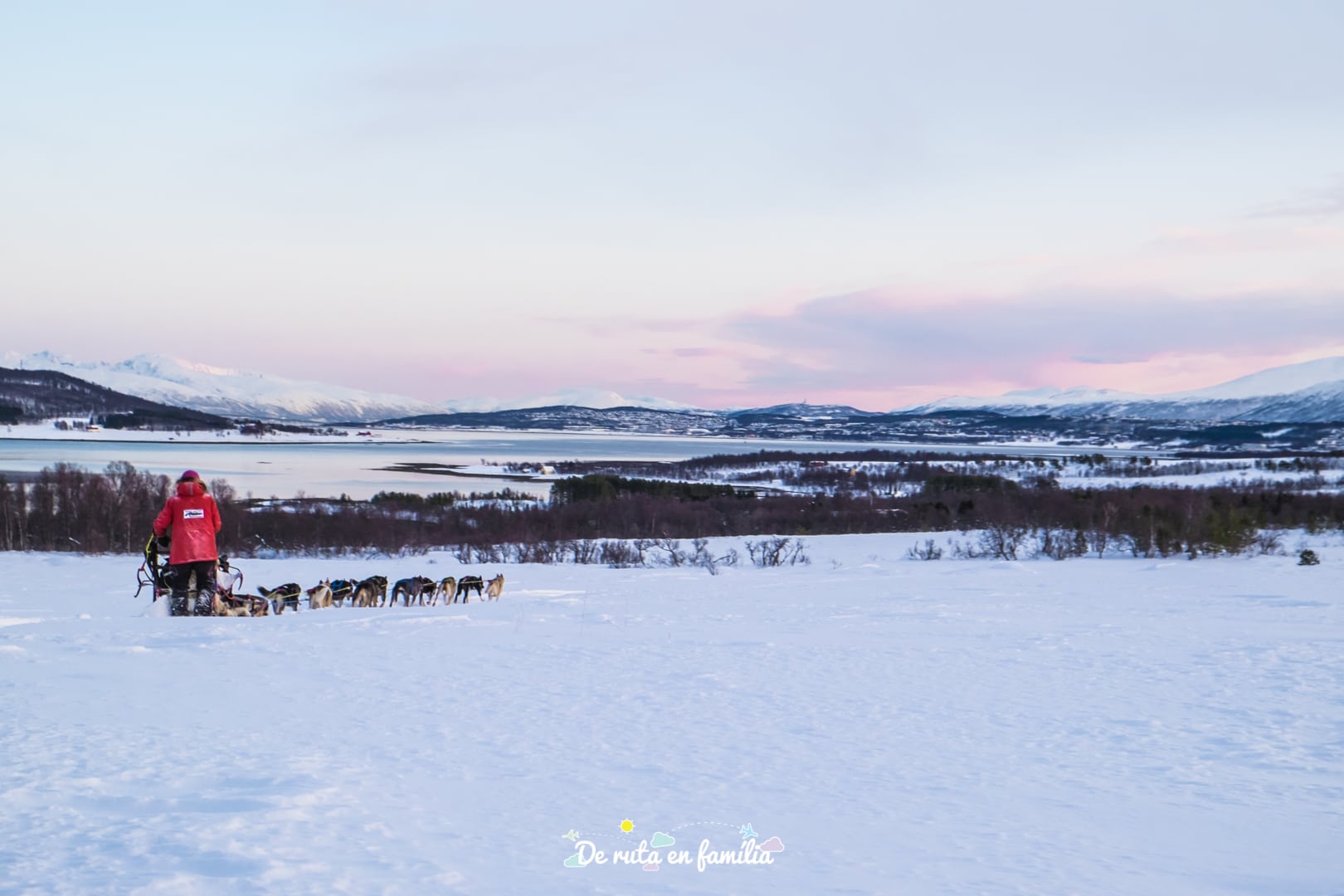 trineu de gossos a Tromso