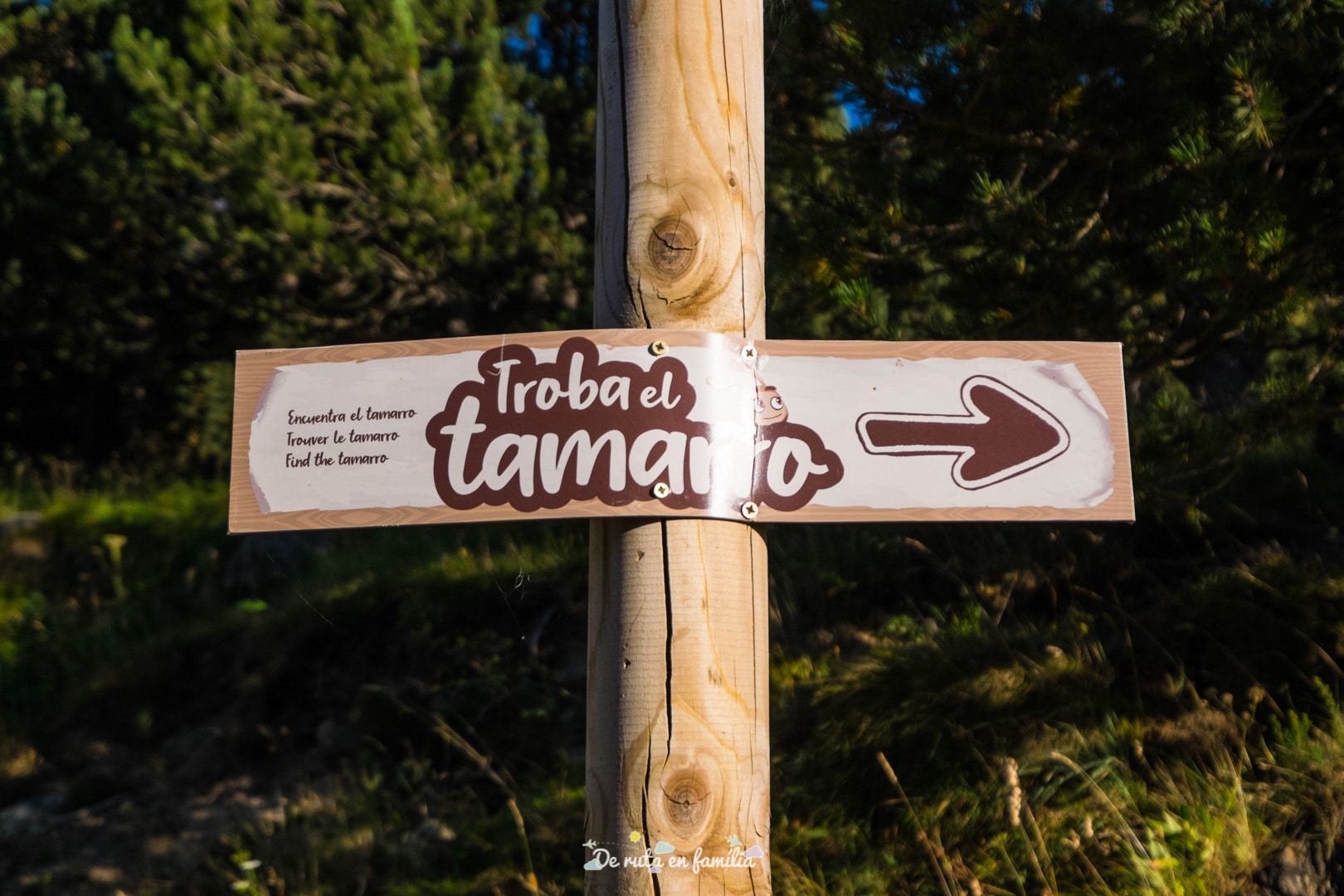 Troba el tamarro. Andorra amb nens