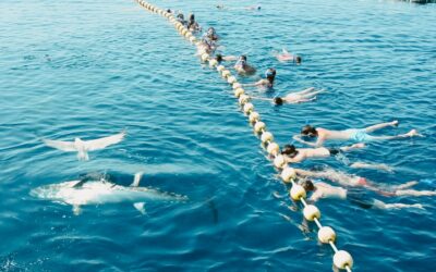 Tuna Tour, nadando entre atunes rojos en la Ametlla de Mar