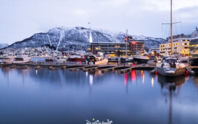 Visitar una granja de renos en Tromsø
