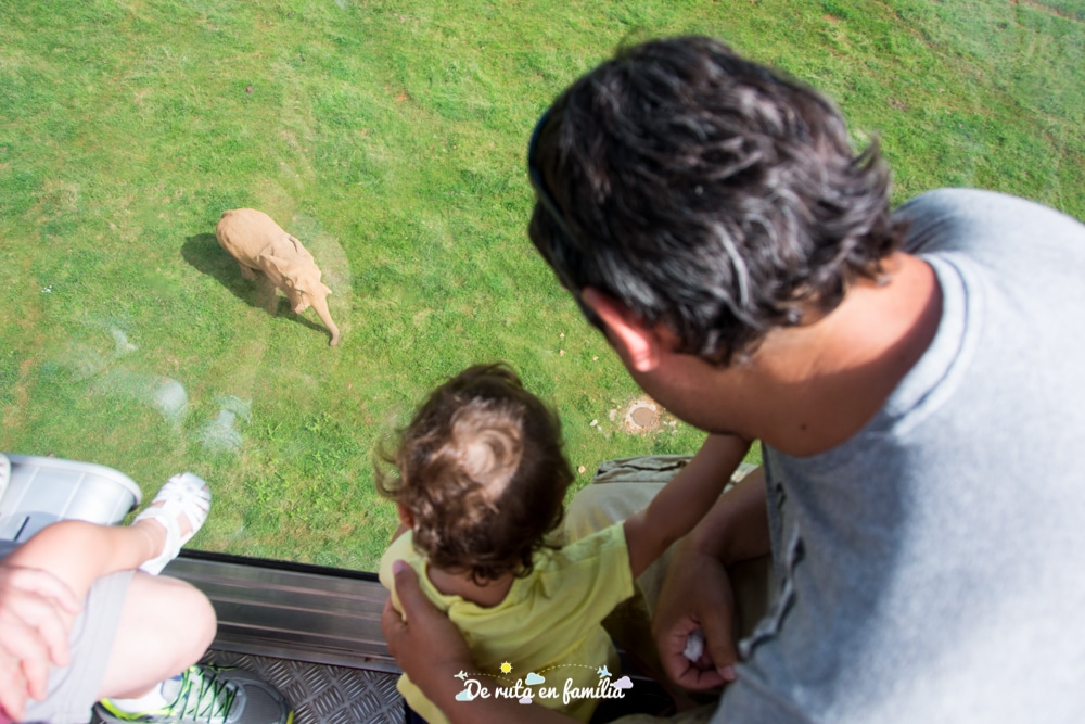 visitar cabarceno amb un bebe