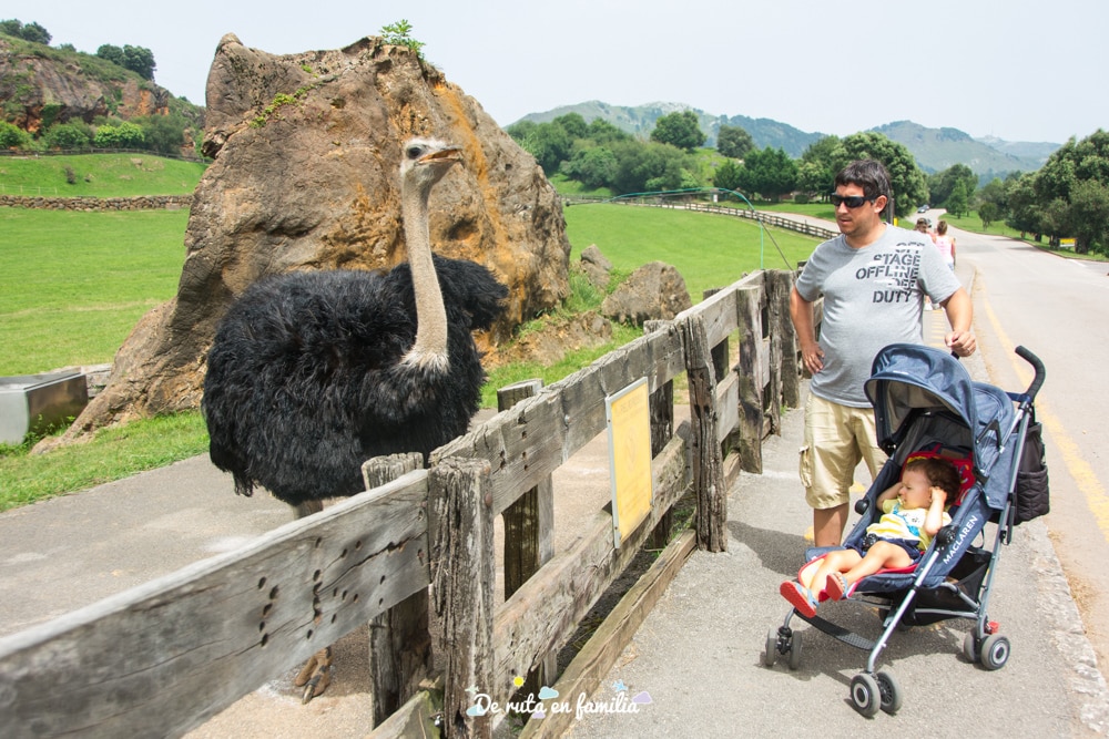 visitar cabarceno con un bebe