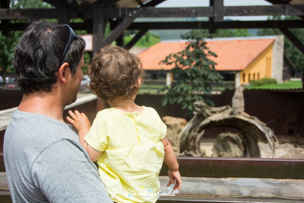 visitar cabarceno con un bebe