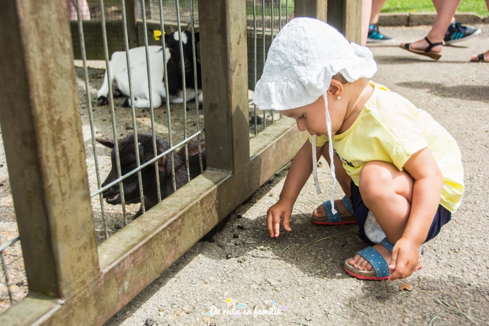 visitar cabarceno con un bebe