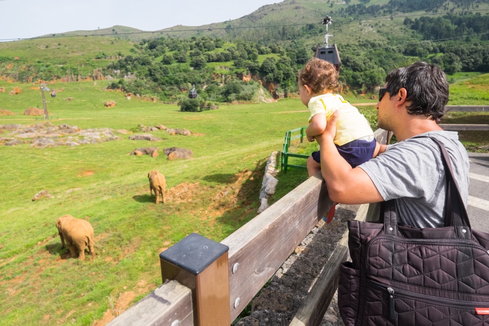 visitar cabarceno con un bebe