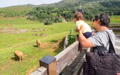 Visitar el Parque de Cabárceno con un bebé