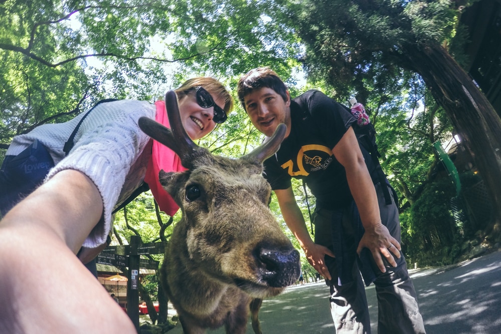 visitar nara desde kyoto u osaka